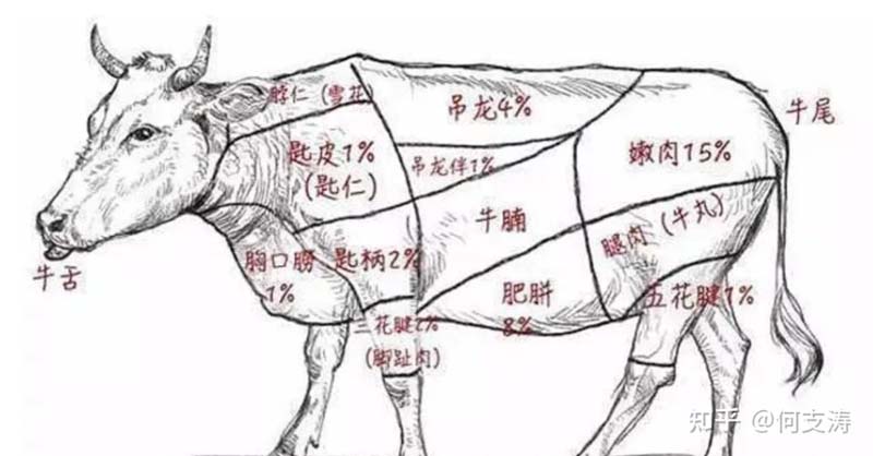 歐賽斯創(chuàng)始人年會(huì)演講實(shí)錄：作品2023-感動(dòng)超越